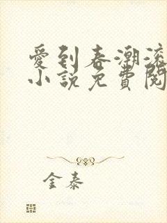 爱到春潮滚滚来小说免费阅读