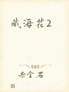 藏海花2