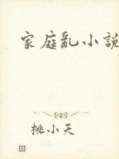 家庭乱小说
