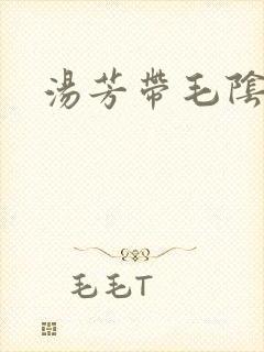 汤芳带毛阴部