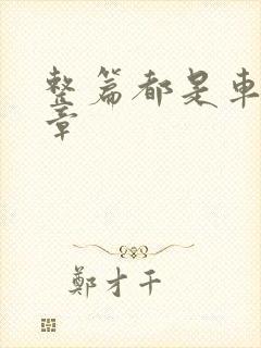 整篇都是车的文章