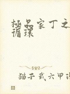 极品家丁之因果循环