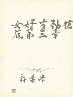 女婿有劲枪枪到底第三章