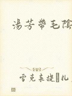 汤芳带毛阴部