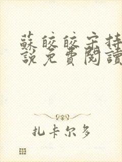 苏皎皎宋持的小说免费阅读