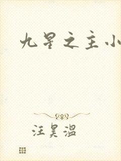 九星之主小说