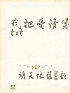 我把爱情煲成汤txt