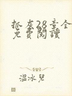 抓灰28章全部免费阅读