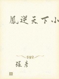 凤逆天下小说