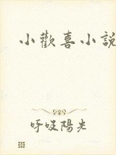 小欢喜小说