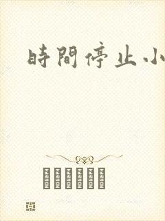 时间停止小说