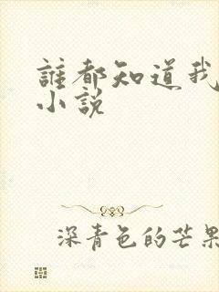 谁都知道我爱你小说