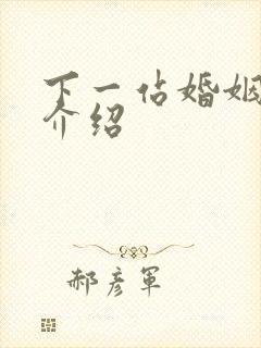 下一站婚姻剧情介绍