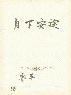 月下安途