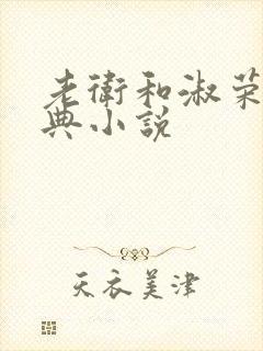 老卫和淑荣的经典小说