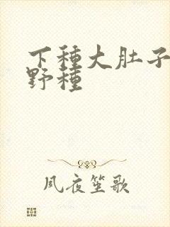 下种大肚子怀孕野种