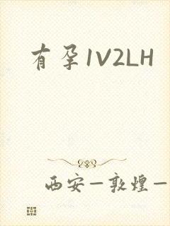 有孕1V2LH