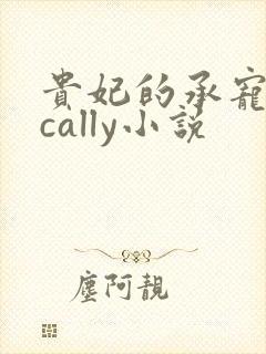 贵妃的承宠日常cally小说