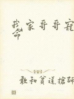 我家哥哥宠妹如命