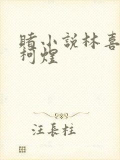 赌小说林喜朝和柯煜