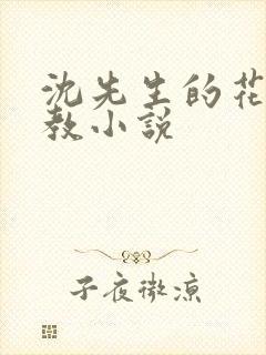 沈先生的花式调教小说