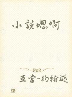 小说嗯啊