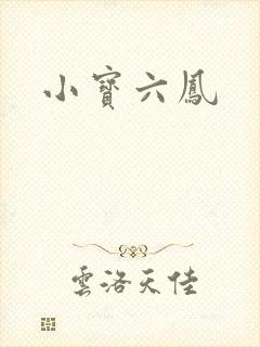 小宝六凤