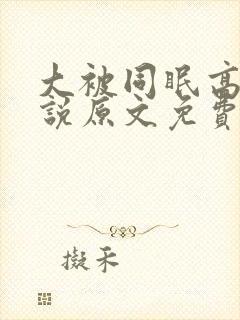 大被同眠高粱小说原文免费阅读