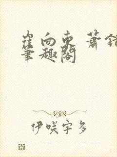 崔向东 萧错 笔趣阁