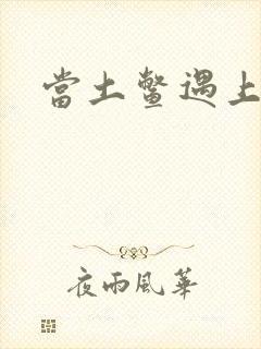 当土鳖遇上海龟