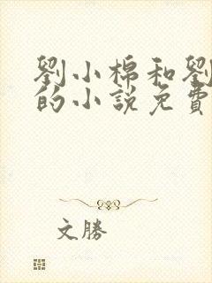 刘小棉和刘易文的小说免费阅读