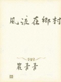 风流在乡村