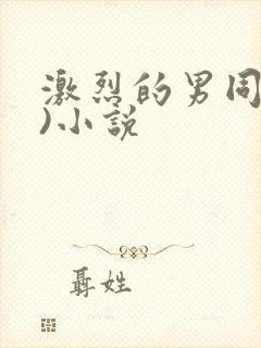 激烈的男同(h)小说