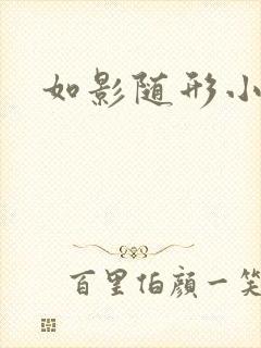 如影随形小说