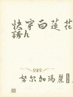 快穿白莲花的引诱h