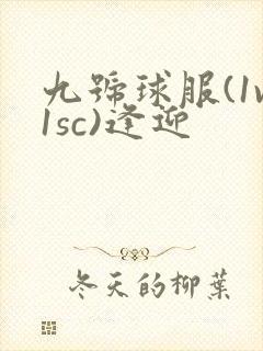 九号球服(1v1sc)逢迎