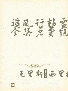 追风行动电视剧全集免费观看