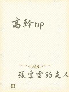 高干np
