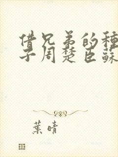 借兄弟的种生孩子周楚臣苏糖