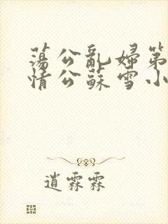 荡公乱妇第1章情公苏雪小说