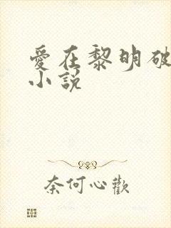 爱在黎明破晓前小说