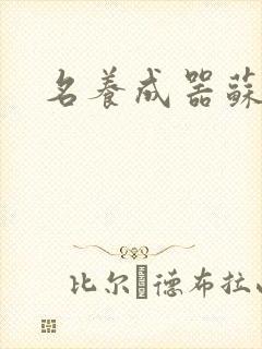 名养成器苏沫沫