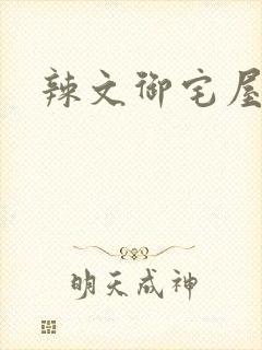 辣文御宅屋