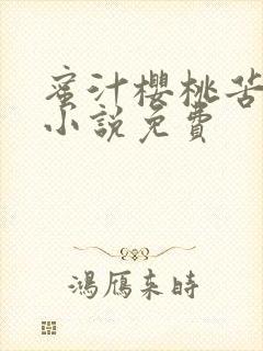 蜜汁樱桃苦咖啡小说免费