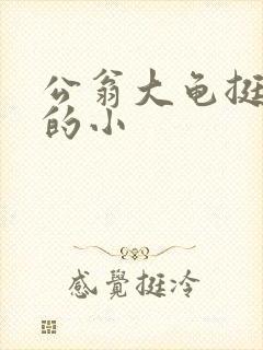 公翁大龟挺进我的小