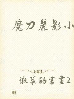 魔刀丽影小说