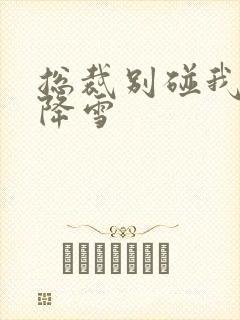 总裁别碰我 韩降雪