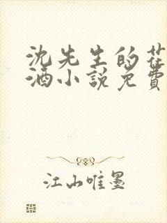 沈先生的花式调酒小说免费阅读