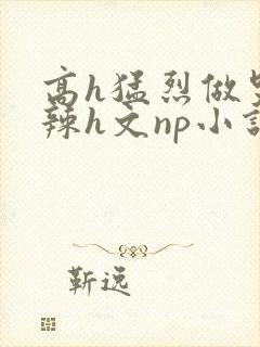 高h猛烈做哭高辣h文np小说