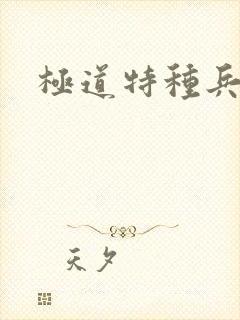 极道特种兵